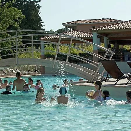 Mimozas Cannes Vi