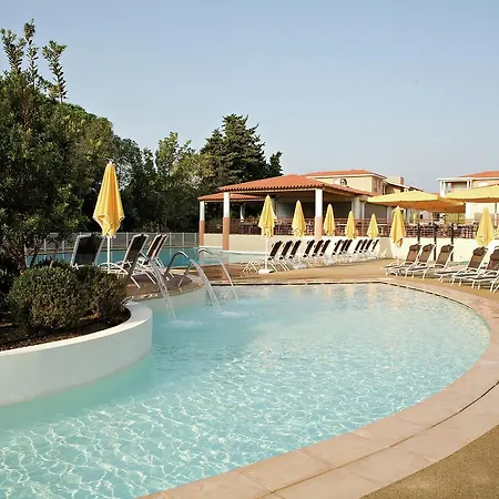 Mimozas Cannes Vi